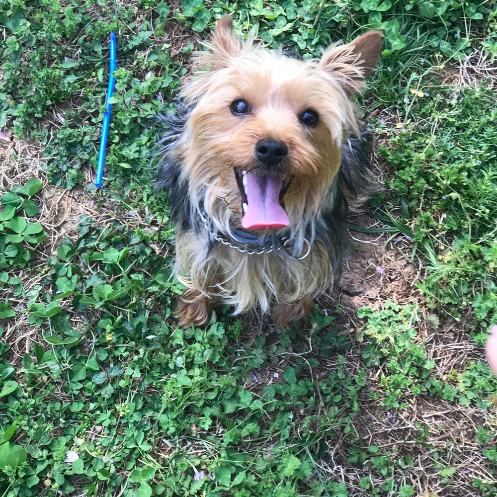 Meet your Posher, Claire